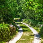 Village Miljavci Dom wakacyjny